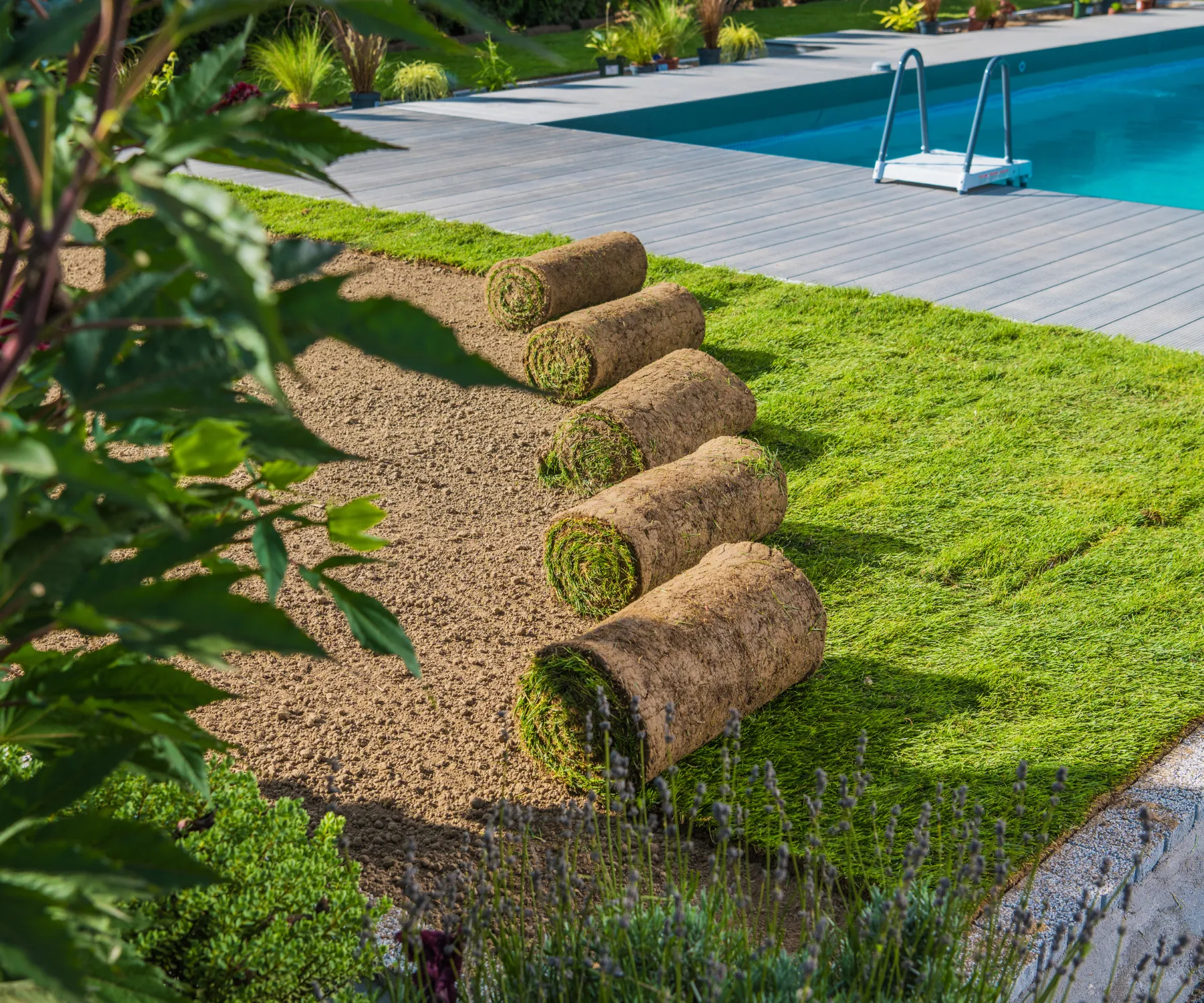 backyard-sod-installation