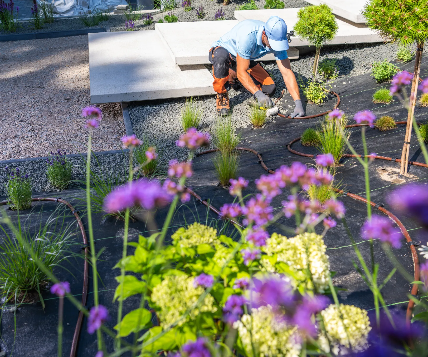 sod-installation-professionals