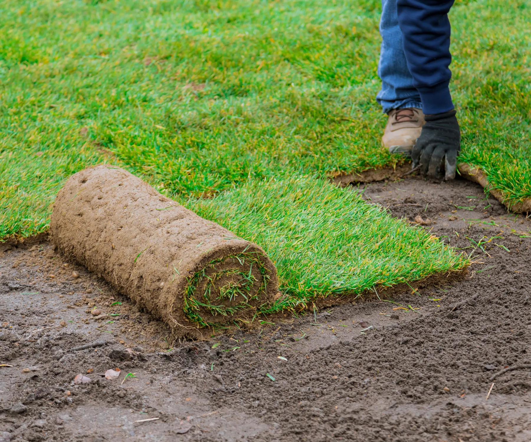 toronto-sod-installation