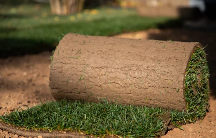 sod-installation-specialists